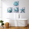 Coastal Beach Seashells Starfish Canvas Art - 20" x 20"